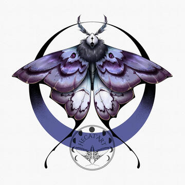 moth moth