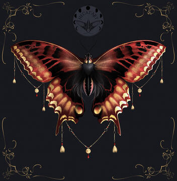 moth moth